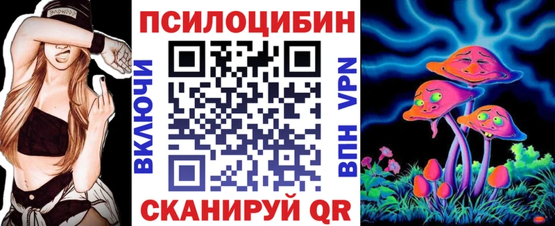 omg ссылки  Николаевск-на-Амуре  даркнет состав  Галлюциногенные грибы мицелий 